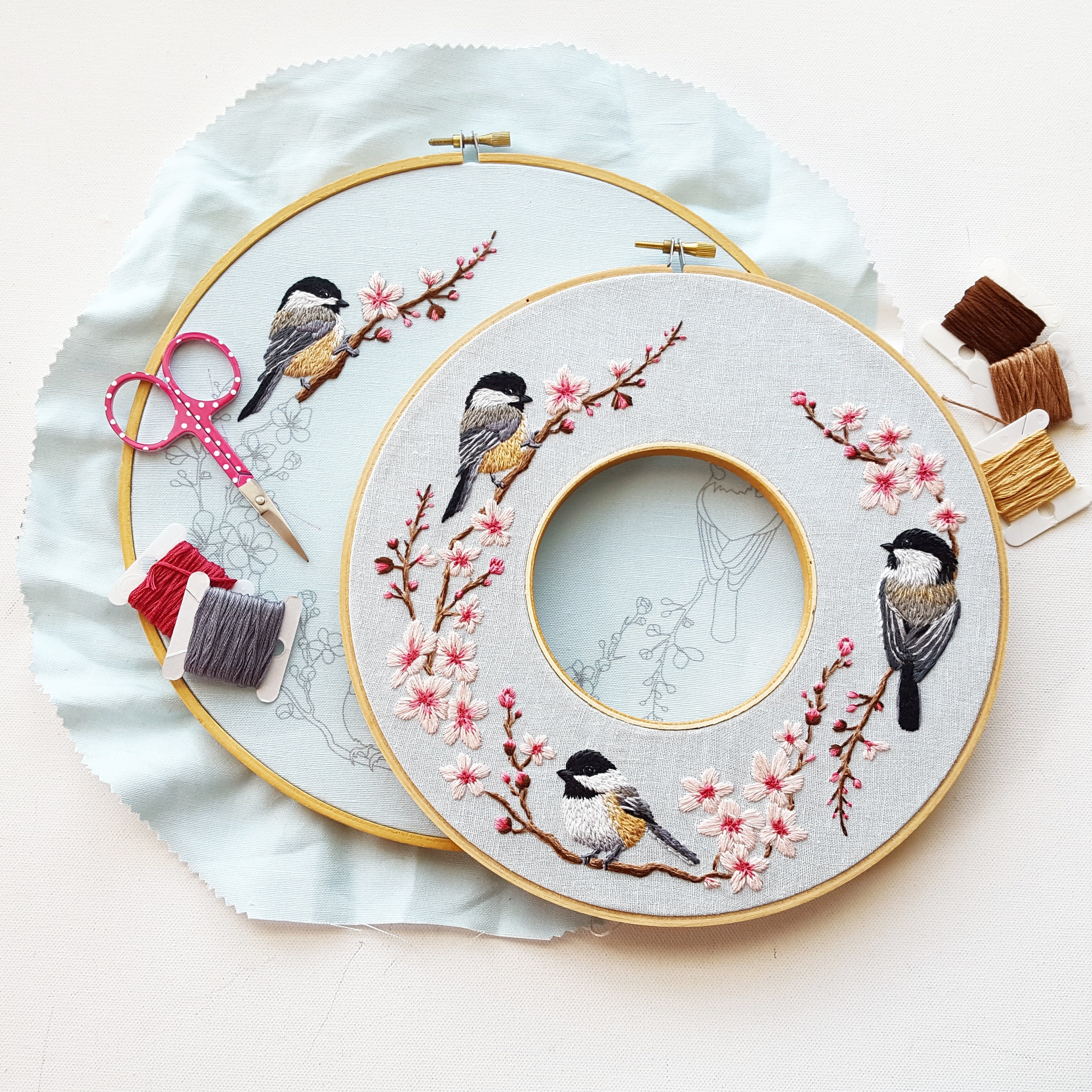 BERYA Embroidery Kit Including Embroidery Hoop Color Threads and