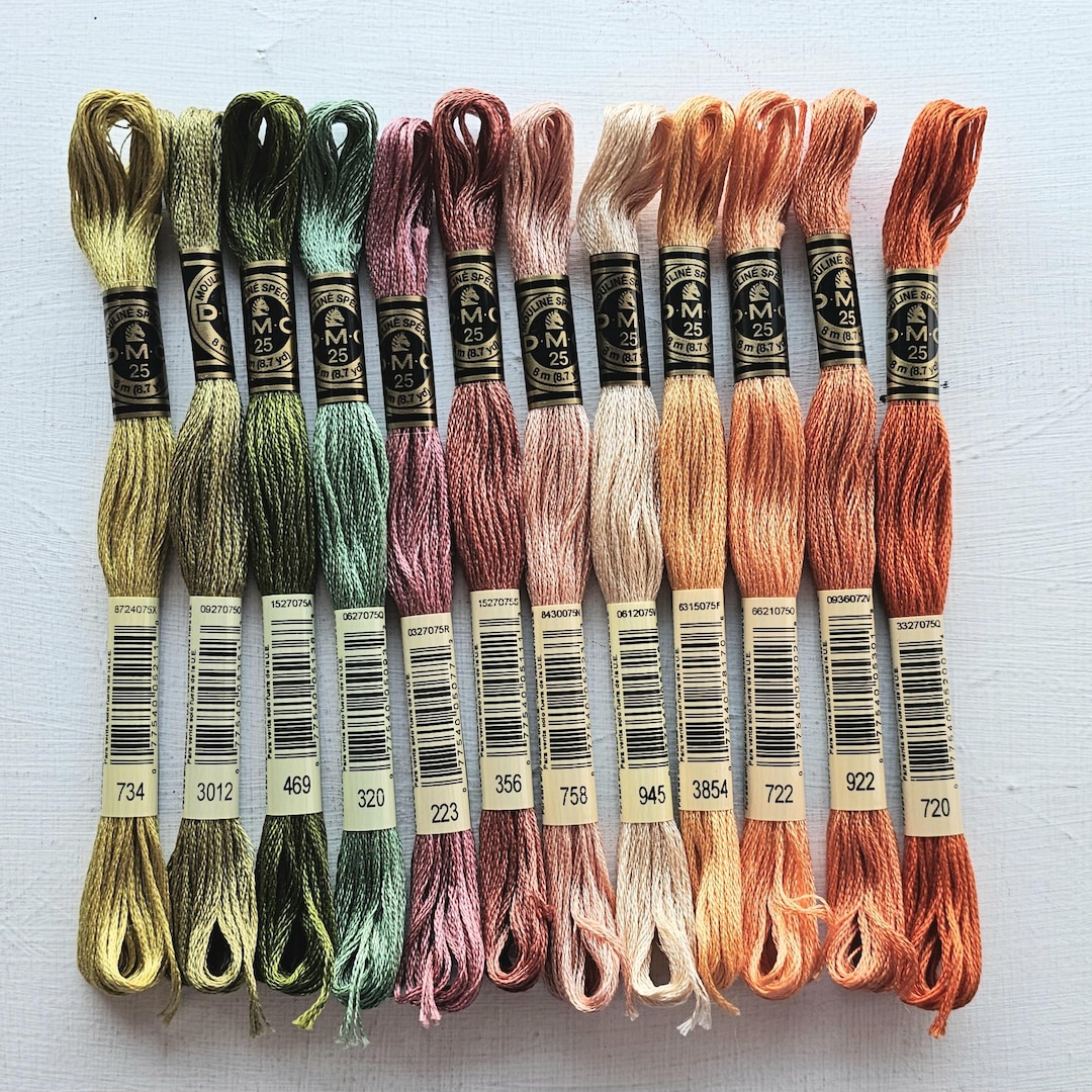 Hand Embroidery Floss Bundle, DMC Six-stranded Floss Skeins, Embroidery ...