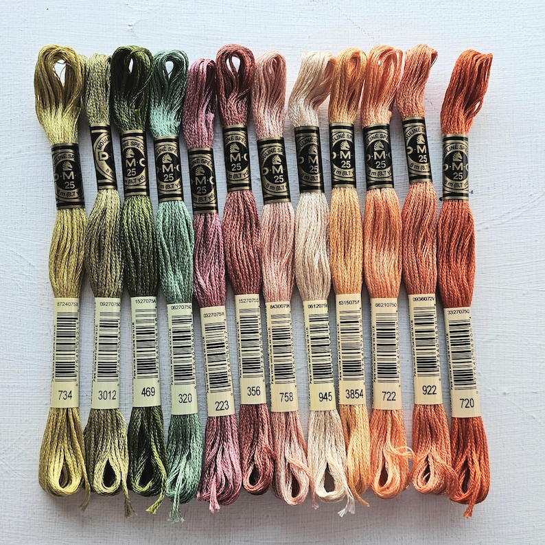 Hand embroidery floss bundle, DMC six-stranded floss skeins, embroidery threads beginner set, cross stitch supplies, bundle of the month image 1