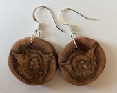 Spalted Oak Earrings