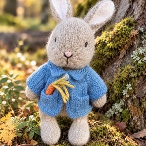 Könnte beinhalten: Ein handgestricktes beiges Hasen-Stofftier, das eine blaue Strickjacke mit Kragen und einem Knopf trägt. Der Hase hat lange Ohren mit weißen Innenseiten, schwarze Augen und eine rosa Nase. Eine kleine orangefarbene Karotte mit gelben Stielen steckt in der Tasche.