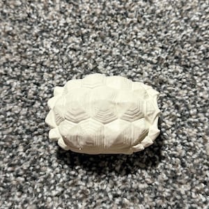 May include: A small, off-white, unpainted ceramic turtle shell figurine featuring a detailed, raised hexagonal pattern across the surface. The object has a matte finish and a textured, segmented appearance, showcasing the natural structure of a turtle shell.