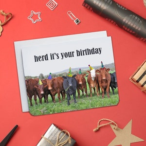Troupeau c’est votre anniversaire - Carte d’anniversaire - Carte vache - Carte animal - Carte d’anniversaire drôle - Carte drôle - Jeu de mots d’anniversaire - Carte vierge - Vaches
