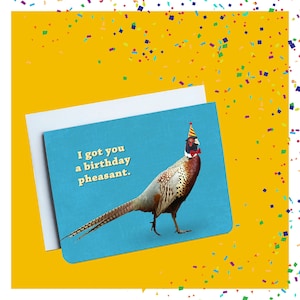I Got You A Birthday Pheasant - Funny Birthday Card - Funny Birthday Cards For Him - Funny Birthday Cards for Her - Pheasants - Birding