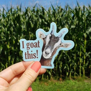 I Goat This Vinyl Sticker - Autocollants drôles - Autocollants mignons - Autocollants imperméables à l’eau - Autocollants de chèvre - Autocollants d’animaux - Chèvres - Cadeaux positifs