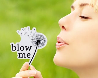 Blow Me Vinyl Sticker - Funny Stickers - Rude Stickers - Waterproof Stickers - Dishwasher Safe Stickers - Laptop Decals - Bumper Stickers