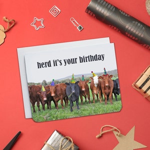 Troupeau c’est votre anniversaire - Carte d’anniversaire - Carte vache - Carte animal - Carte d’anniversaire drôle - Carte drôle - Jeu de mots d’anniversaire - Carte vierge - Vaches