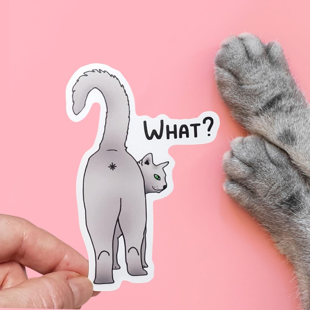 Cat But Sticker What Cat Butt Vinyl Sticker - Funny Stickers - Rude Stickers ...
