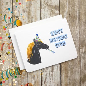 Joyeux anniversaire Stud - Carte de vœux - Anniversaire - Homme - Pour lui - Jeu de mots - Carte amusante - Cheval - Hommes - Guy - Mari - Petit ami - Animal - Ferme