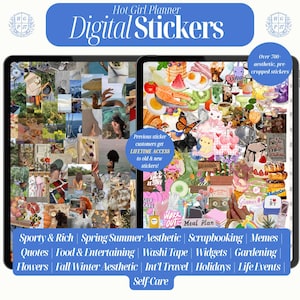Aesthetic Digital Planner Stickers Digital Scrapbook Goodnotes 2027 iPad Planner Stickers for Journal That Girl Minimalist iPad Stickers