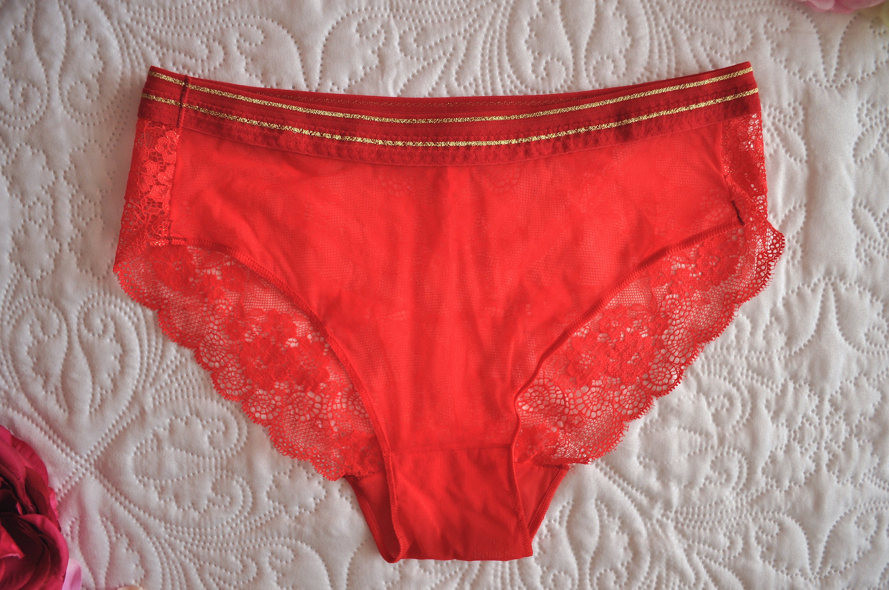 See Through Mesh Panties Sheer Panties Lace Panties Red Etsy Canada
