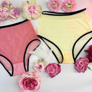 Mesh Panties with Black edging, Many Colors