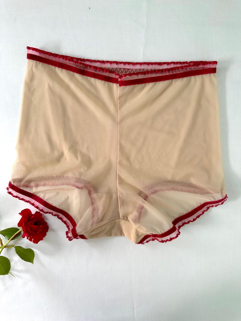 Puede incluir: Ropa interior beige transparente con ribete rojo en la cintura y las aberturas de las piernas. La ropa interior de cintura alta est&aacute; hecha de una tela delicada y transparente. Una rosa roja es visible en la esquina inferior izquierda.