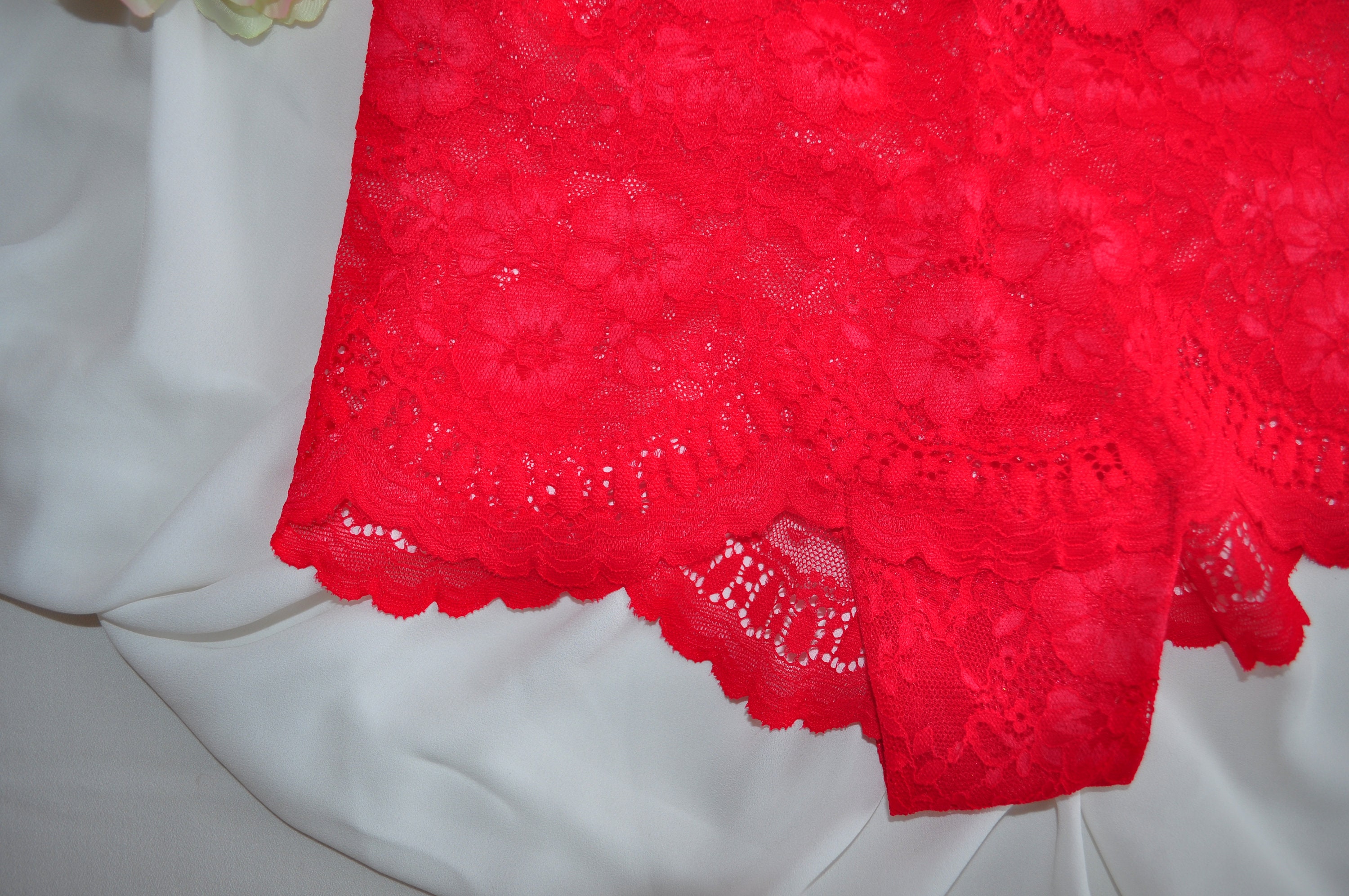 Sexy Red Lace Panties. -  Canada