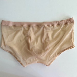 Sheer underwear with pouch. Thin and soft, many colors. image 5