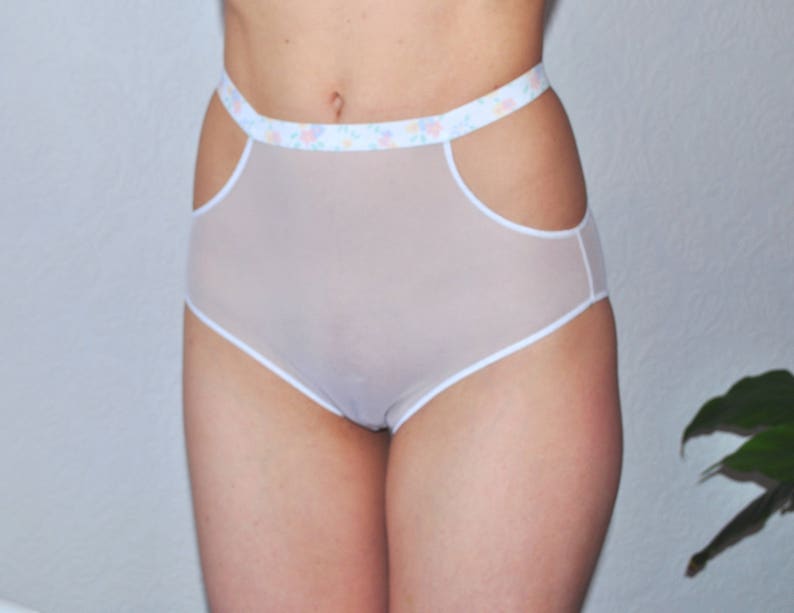 Hot Sheer Panties