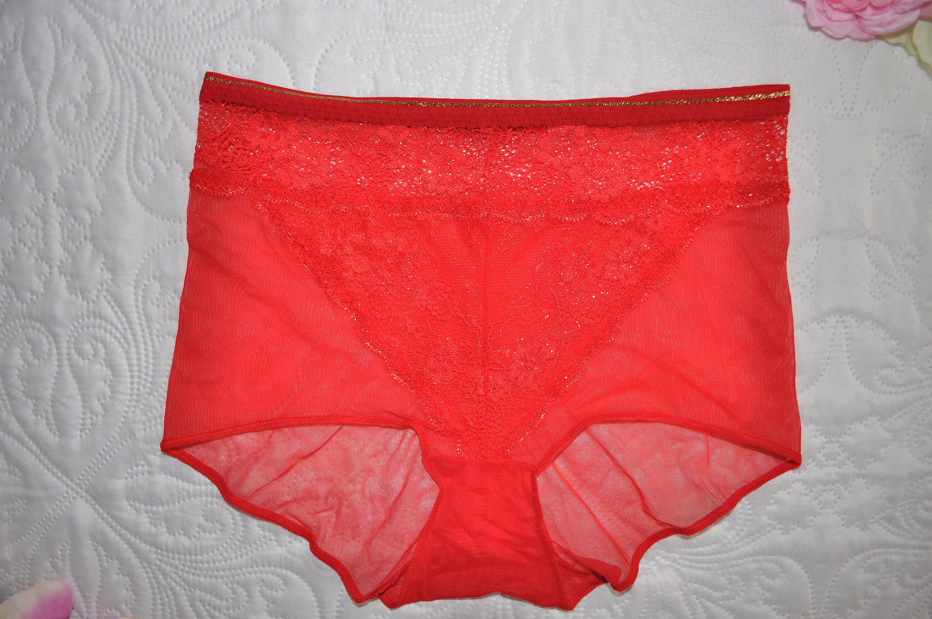 See through panties Red panties Lingerie Lace panties Women | Etsy