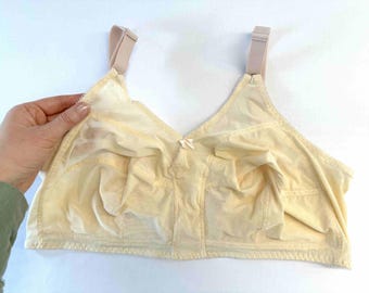 Sheer Mesh Bra, Soft Cup, Plus Size