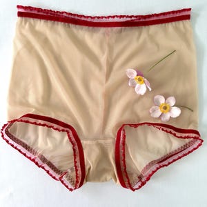 Puede incluir: Ropa interior beige transparente con ribete rojo en la cintura y las aberturas de las piernas. Dos peque&ntilde;as flores rosas con centros amarillos adornan la prenda. La tela parece delicada y ligera.