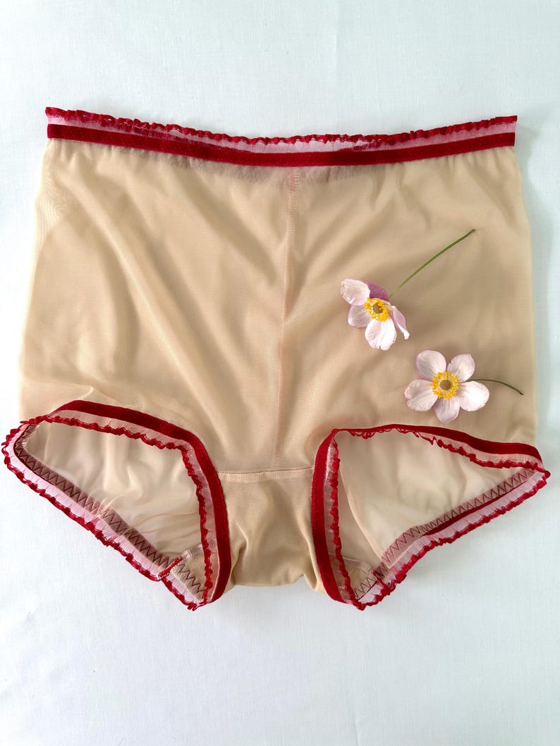 Puede incluir: Ropa interior beige transparente con ribete rojo en la cintura y las aberturas de las piernas. Dos peque&ntilde;as flores rosas con centros amarillos adornan la prenda. La tela parece delicada y ligera.