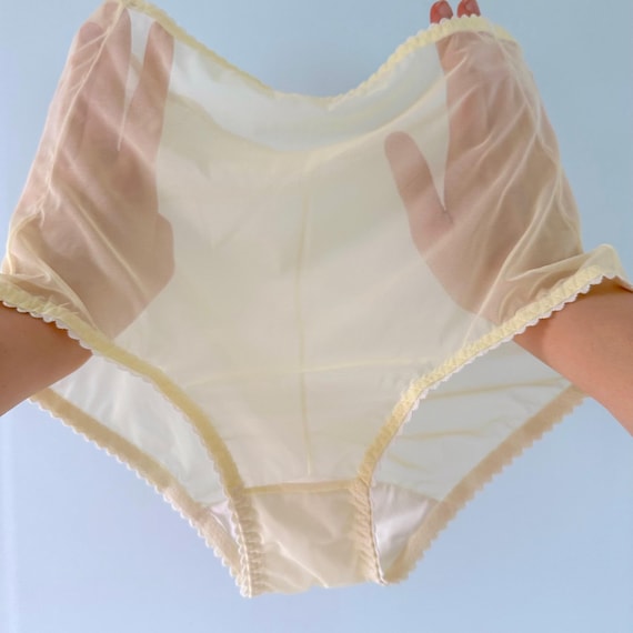 sachin and babi light blue dress Rhonda Shear 2-Pack Smoothing Brief - Multi main image 1