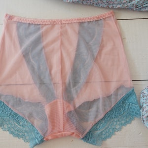 May include: A pair of pink underwear with a sheer overlay and blue lace trim. The underwear has a high-waisted design with vertical blue panels. A floral patterned fabric is visible in the background.