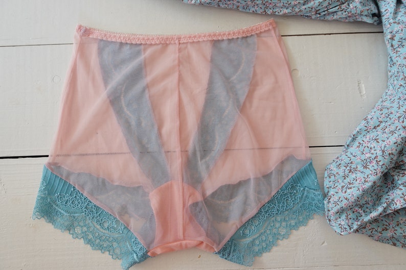 May include: A pair of pink underwear with a sheer overlay and blue lace trim. The underwear has a high-waisted design with vertical blue panels. A floral patterned fabric is visible in the background.