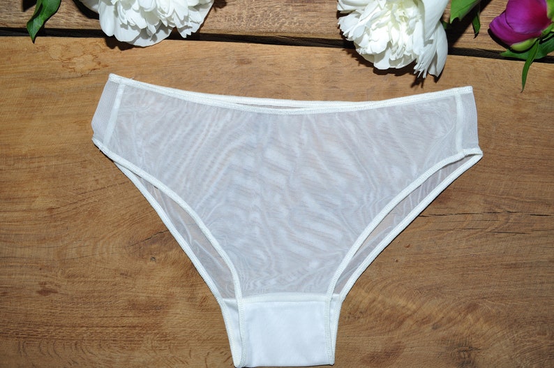 Mesh panties / Sheer mesh panties /Many colors mesh / Sexy / Etsy