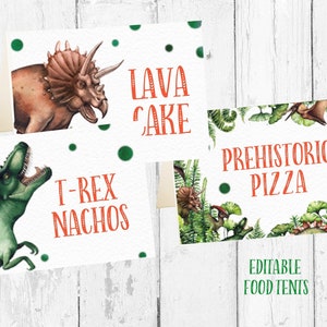 Tiendas de comida de la fiesta del dinosaurio, tiendas de alimentos de dinosaurios, decoración de la fiesta del dinosaurio, etiquetas de la comida del dinosaurio, cumpleaños del dinosaurio imprimibles, editable,