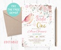 Editable Birdie First Birthday Invitation, Bird First Birthday Party, Little Birdie Invite, Birds Invitations, Birds Editable Template, product logo