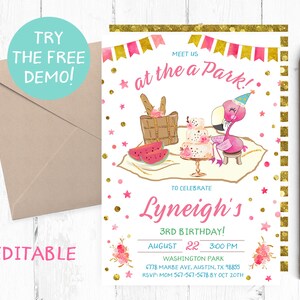Flamingo Picnic Birthday Party Invitation, Picnic Flamingo Invitations, Flamingo Park Invitations, Flamingo Park Invites, Picnic Invite,