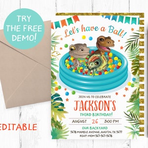 Editable Ball Pit Invitation, Ball Pit Birthday Party, Ball Pit Editable Template, Ball Pit Instant Download, Bouncy Ball Invitations,