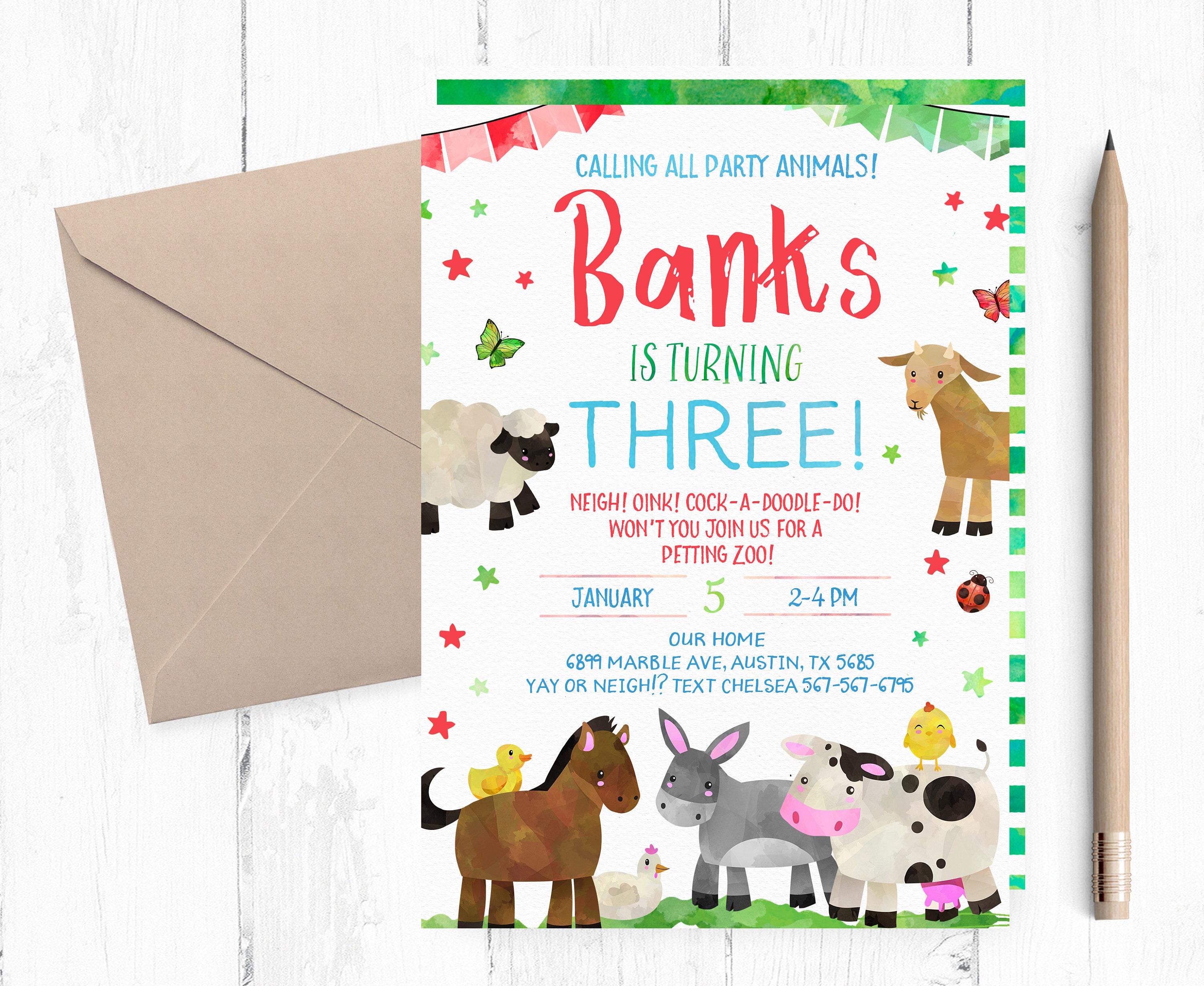 Petting Zoo Birthday Invitation Petting Zoo Invitations | Etsy