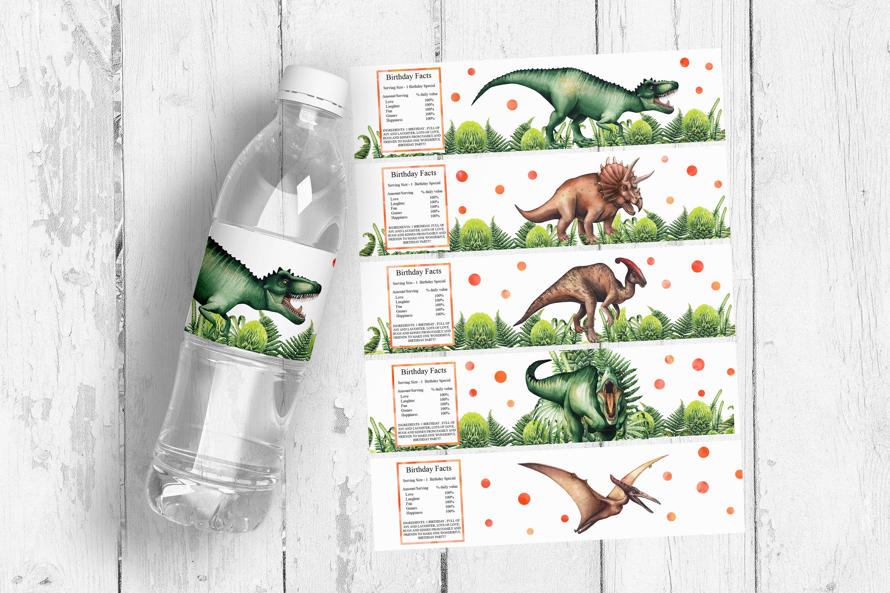 Dinosaur Water Bottle Labels Trex Water Bottle Labels Etsy