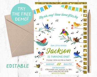 Editable Neutral Birds Invitation, Boy Birds Birthday Party Invitation, Birds Editable Template, Birds Instant Invitation, Little Birdie,