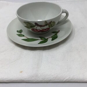 May include: A white teacup and saucer with a green leafy vine and red cherries design.