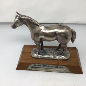 Grand Champion Gelding Horse Trophy (D3)