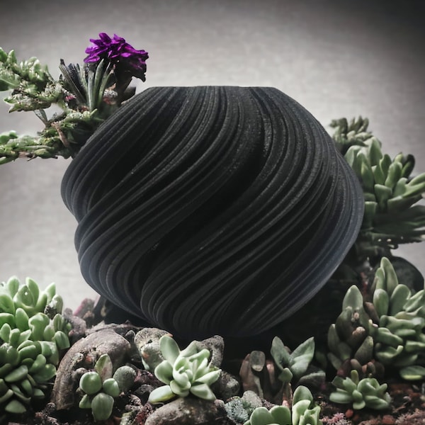 Air Plant Holder | Plant pot with drainage | Black Flower Pot | Desk Planters | Flowerpots Modern | Black Decorative Planters