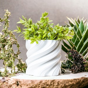 May include: A white ceramic planter with a swirling design, holding bright green foliage. The planter is placed on a wooden base, with other plants visible in the background. The style is clean and contemporary.