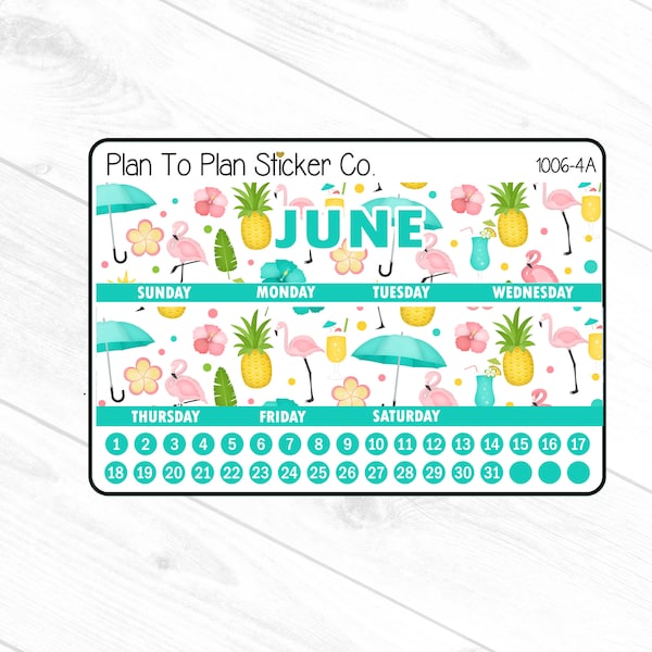 1006-4A~~June 7X9 Monthly View Planner Stickers.