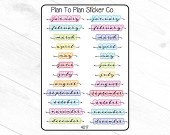 May include: A sheet of 12 colorful monthly planner stickers with the months of the year written in cursive script. The stickers are in pastel colors and have a slightly puffy, 3D look. The text "Plan To Plan Sticker Co." is at the top of the sheet.