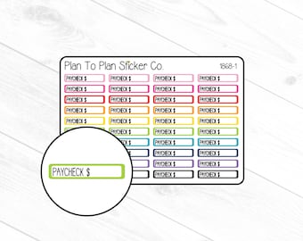 1868-1~~Paycheck Tracker Boxes Planner Stickers.