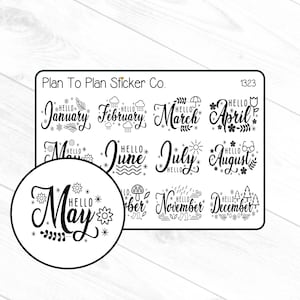 1323~~Monthly Doodles Planner Stickers.