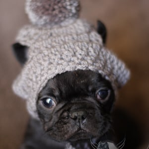 Pompom Puppy Dog Hat French Bulldog Fashion Beanie Toque Handmade Crochet Knit Boston Pug Chihuahua Clothe Boy Colors Blue