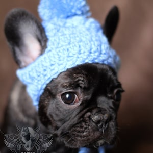 Fancy Frenchie Fashion Winter Beanie Hat gorrito para mascotas cachorros
