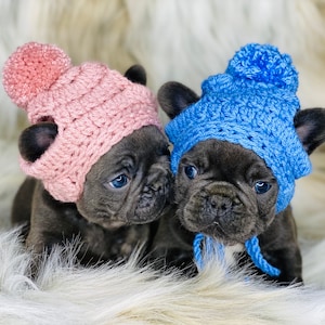 Pet Clothes Puppy Dog hat with ear holes Frenchie Fashion French Bulldog Pet Accessories