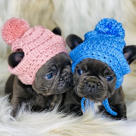 Vestiti per animali domestici Cappello per cuccioli di cane con fori per le  orecchie Frenchie Fashion Accessori per animali domestici Bulldog francese  -  Italia