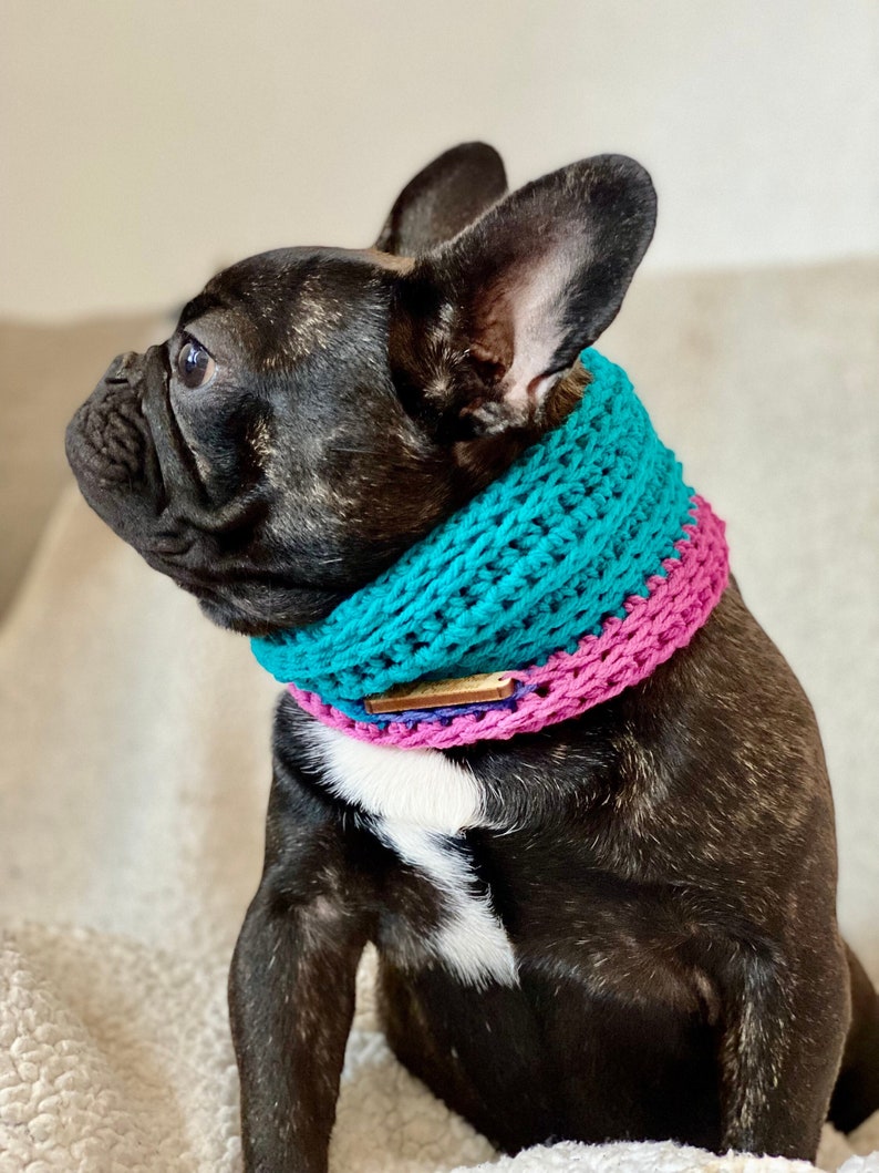 以下が含まれることがあります： ターコイズとピンクのクロシェ編み犬用首輪と木製のネームタグをつけた黒いフレンチブルドッグ