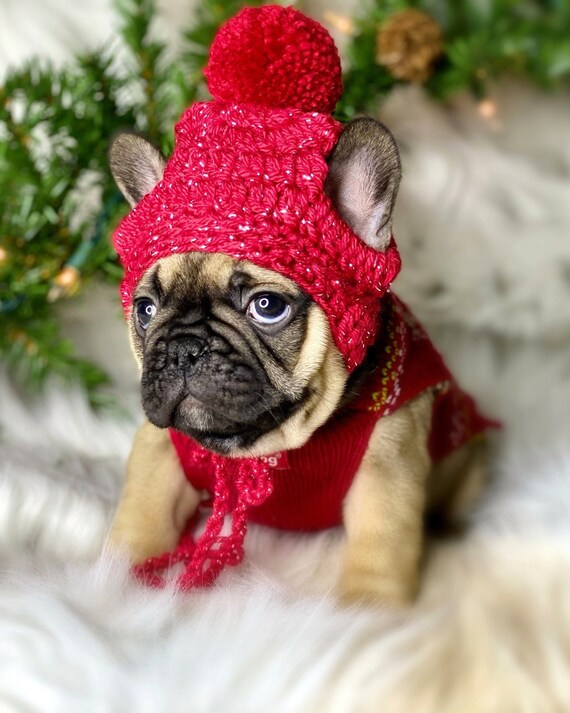 knitted hat christmas dog hats