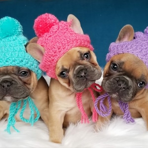 Handmade Crochet Puppy Dog crocheting beanie toque pompom beanie Colors French Bulldog Puppy Pug Bulldog Boston terrier Fashion Accessories